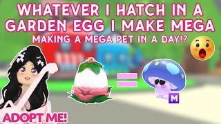 HARDEST ADOPT ME CHALLENGE EVER Whatever I hatch in Garden Egg I make Mega in a Day  #adoptme