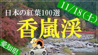 【香嵐渓2023紅葉状況】愛知県屈指の紅葉スポット！色づきも進んでます。