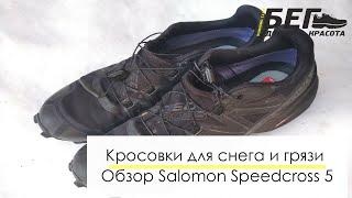 Для снега и грязи. Обзор кроссовок Salomon Speedcross 5 GTX