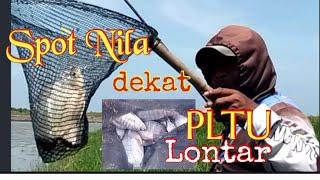 Mancing Nila Babon Empang harian Tangerang dekat PLTU Lontar  kawan gentak