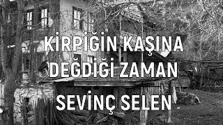 Kirpiğin Kaşına Değidiği Zaman - Sevinç Selen  Davut Sulari Türkü Gibi Hayat