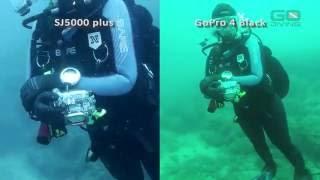 GoPro Hero 4 Black vs SJ5000 plus - underwater test