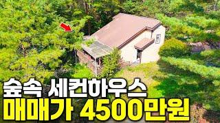 4500만원짜리 강원도의 숲속 세컨하우스 이따금 와서 쉬고가기 좋아요