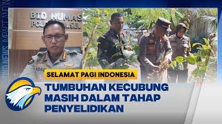 EFEK KECUBUNG 50 ORANG TUMBANG - Selamat Pagi Indonesia