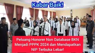 Kabar Baik‼️Peluang Honorer Non Database BKN️ Menjadi PPPK 2024 dan Mendapatkan NIP Terbuka Lebar️