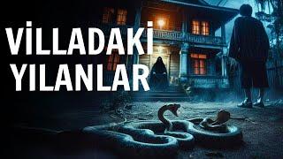 Yeni Yaptırdığım Villadaki Yılanlarla Yaşadığım Paranormal Olaylar  Cin Hikayeleri  Korku Hikayesi