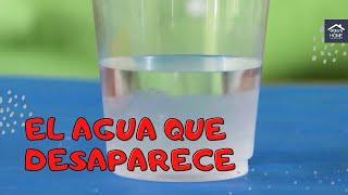 El agua que desaparece  Actividades de ciencia para niños