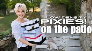 PIXIES ON THE PATIO  5 LOW DENSITY PIXIE WIGS  No TALKjust WIGS