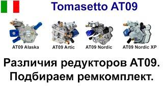 Ремкомплект редуктора AT09 Tomasetto Alaska Super Nordic Artic Nordiс XP