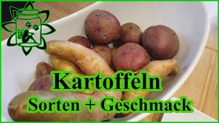 Kartoffel Sorten und Geschmack  Eigene Kartoffel Sortenempfehlung  Wie schmecken blaue Kartoffel ?
