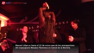 El baile flamenco de Manuel Liñán en Corral de la Morería Madrid