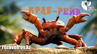 Краб-рейв