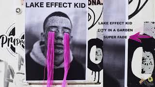 Fall Out Boy — Lake Effect Kid