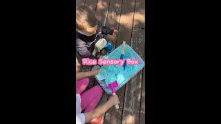 Rice Sensory Box for Kids 