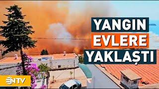 İzmir ve Tekirdağda Yangın Çıktı  NTV