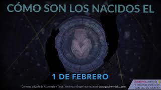 Cómo son los NACIDOS el 1 de Febrero?