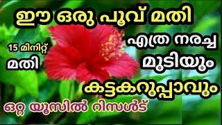 ചെമ്പരത്തി പൂവ് ഉപയോഗിച്ച് എത്ര നരച്ച മുടിയും ഒറ്റ യൂസിൽ കറുപ്പിക്കാം  Natural hair dye