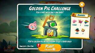 Angry Birds 2 Golden Pig Challenge  How To Play Golden Pig Challenge Today With Stella #300924