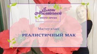 Мастер класс реалистичный мак