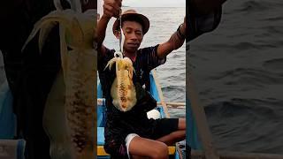 Strike Cumi-cumi dasar #fishing #mancing #fish #squid #ikan #fisherman #viral #fyp #reels
