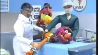 Robot Chicken Behind the Music - The Muppets